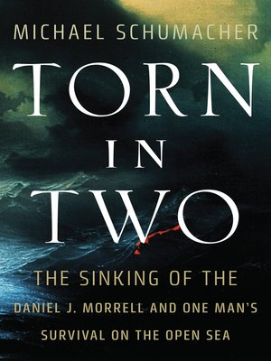 cover image of Torn in Two